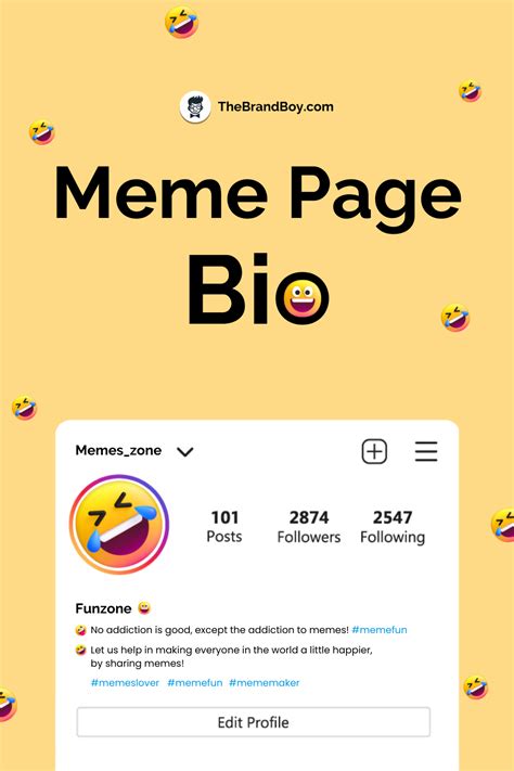 bio for meme page on instagram